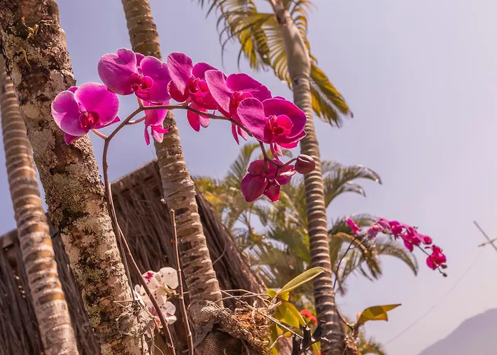 Pousada Bonns Ventos